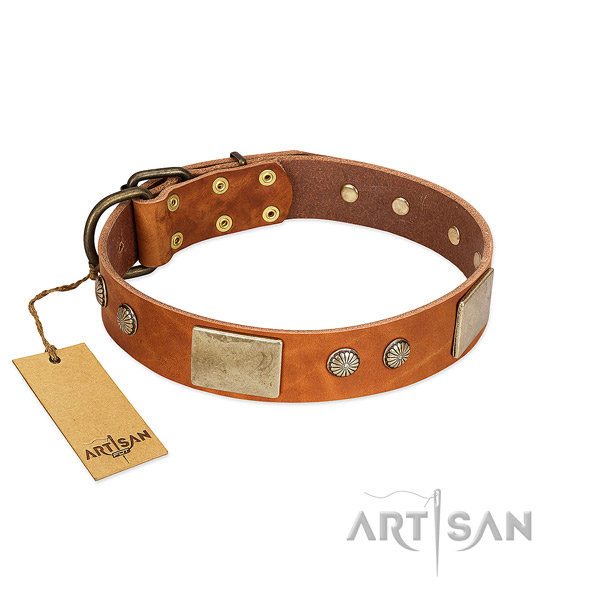 Easy wearing genuine leather dog collar for daily walking your doggie