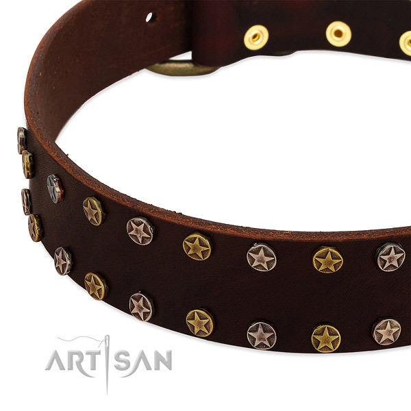 Stylish walking full grain natural leather dog collar with remarkable decorations