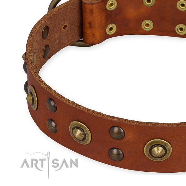 Full grain natural leather collar with durable fittings for your beautiful dog
