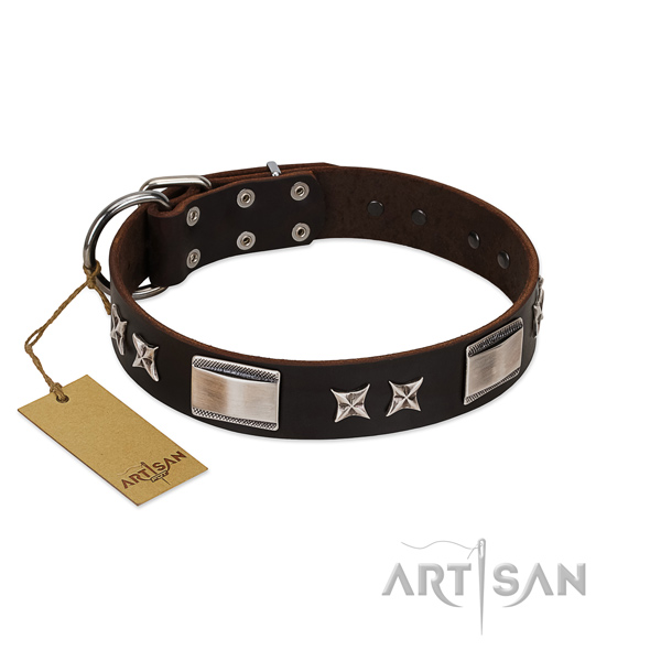Handcrafted dog collar of natural leather