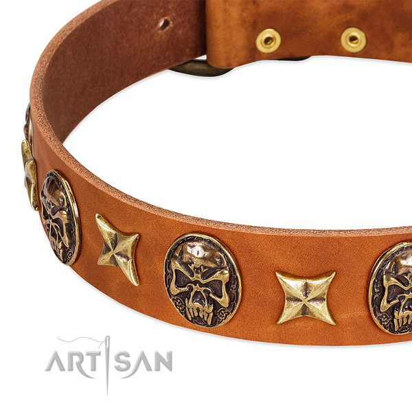Durable traditional buckle on genuine leather dog collar for your four-legged friend