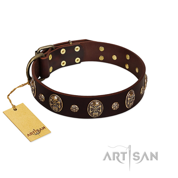 Handcrafted leather collar for your doggie
