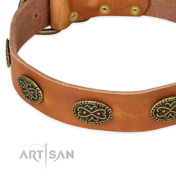 Amazing natural genuine leather collar for your impressive canine