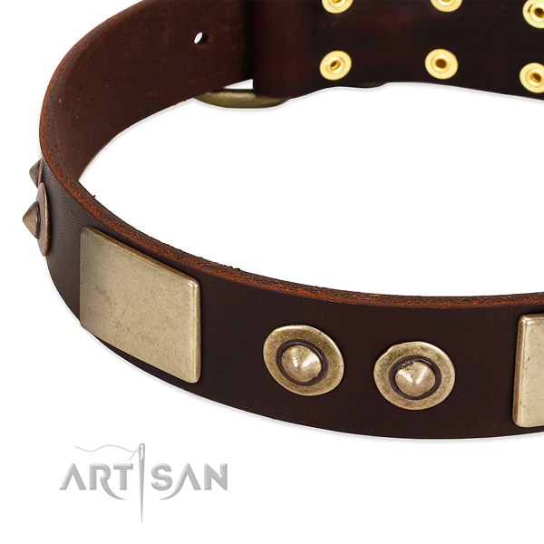 Rust resistant studs on full grain genuine leather dog collar for your doggie
