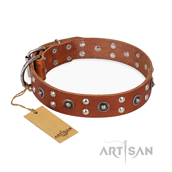 Everyday walking stylish design dog collar with strong traditional buckle