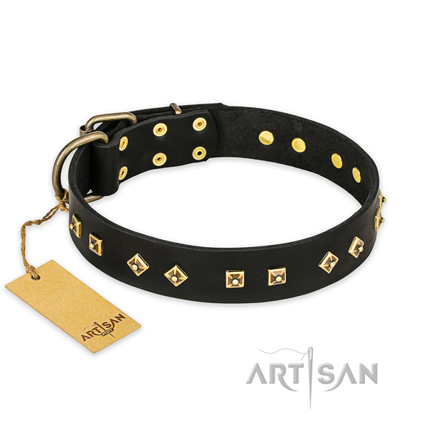Designer leather dog collar with rust-proof fittings