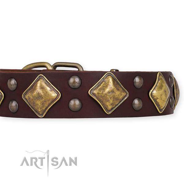 Genuine leather dog collar with incredible reliable decorations