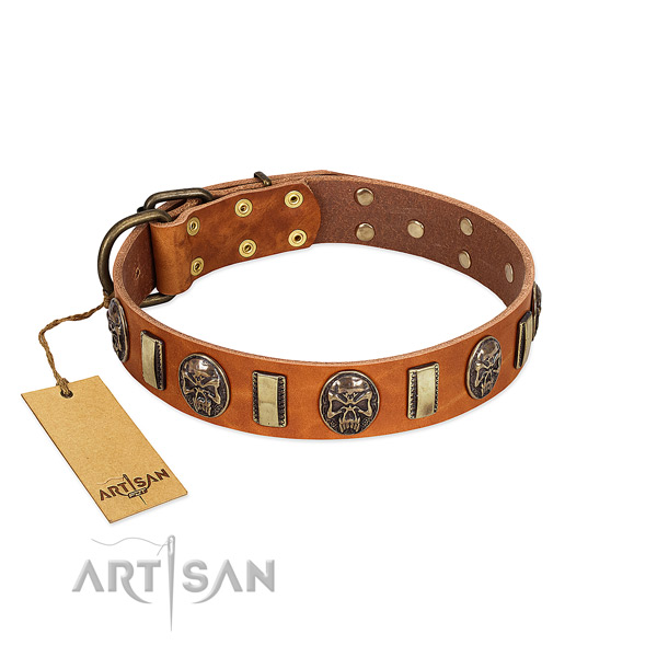 Handcrafted full grain genuine leather dog collar for daily use