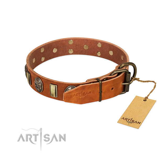 Leather dog collar with rust resistant hardware and adornments