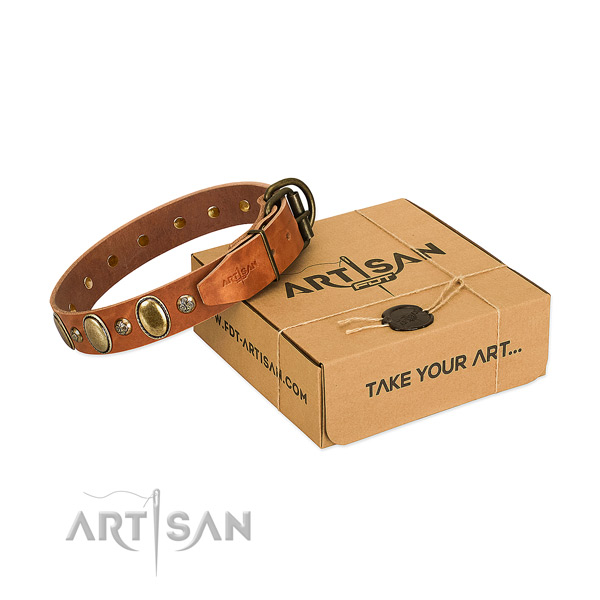 Stylish full grain natural leather dog collar with corrosion proof fittings