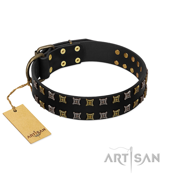 Best quality natural leather dog collar with studs for your doggie