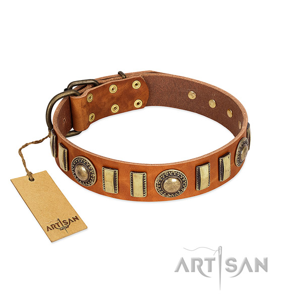 Exceptional full grain genuine leather dog collar with corrosion resistant fittings