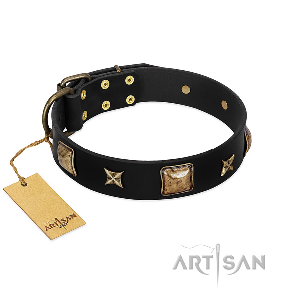 Leather dog collar of high quality material with awesome studs