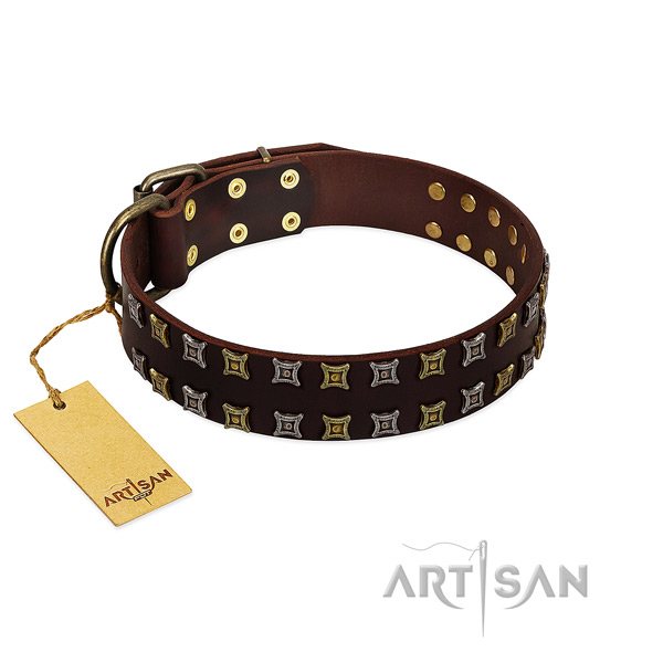 Durable genuine leather dog collar with embellishments for your canine