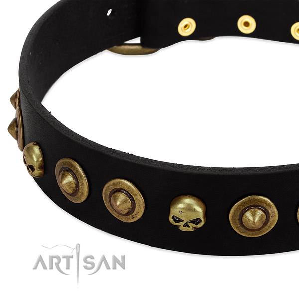 Natural leather dog collar with designer studs