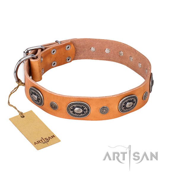 Strong genuine leather collar crafted for your four-legged friend