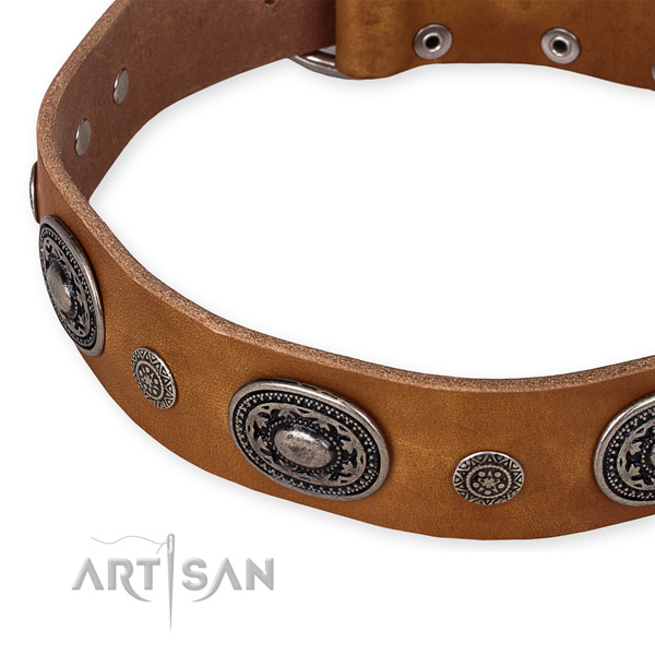 Strong full grain leather dog collar handcrafted for your handsome doggie
