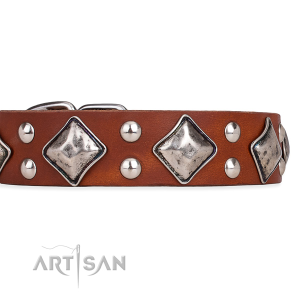 Leather dog collar with fashionable strong embellishments