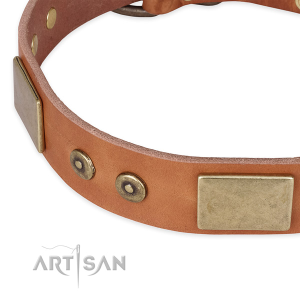 Corrosion resistant embellishments on full grain genuine leather dog collar for your four-legged friend