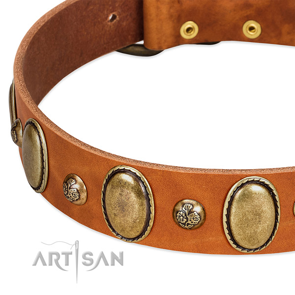 Leather dog collar with remarkable decorations