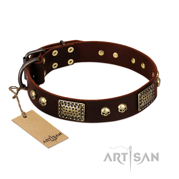 Easy wearing full grain genuine leather dog collar for walking your pet