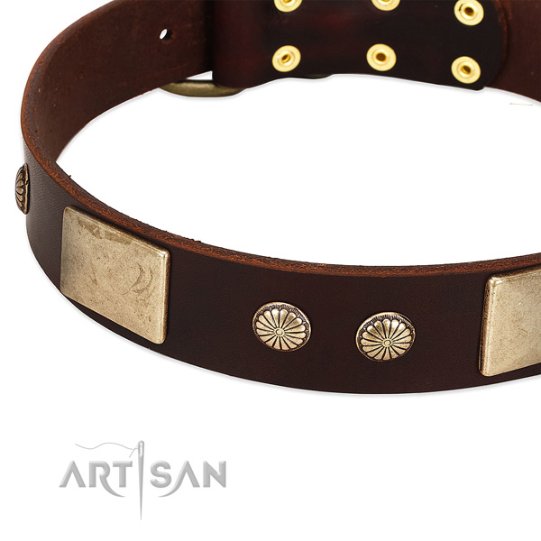 Durable traditional buckle on genuine leather dog collar for your canine