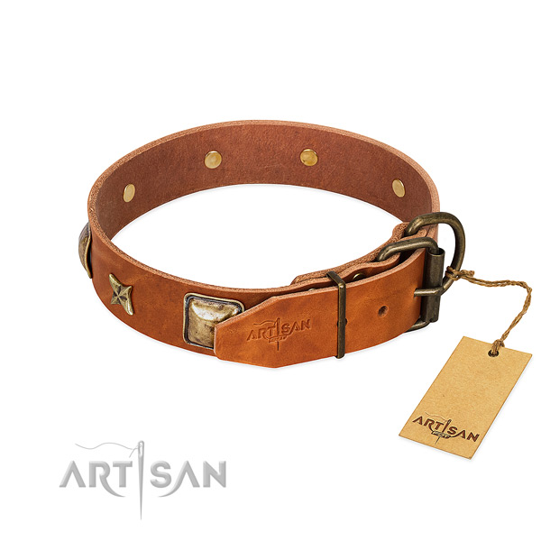 Genuine leather dog collar with strong hardware and embellishments