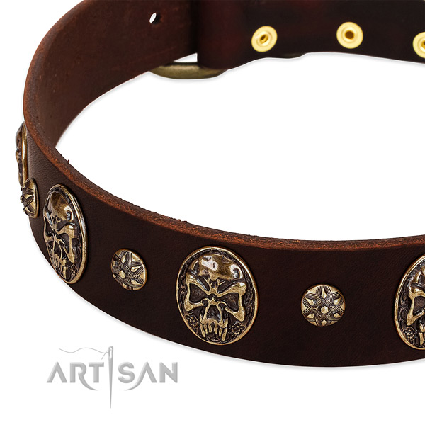 Reliable traditional buckle on full grain genuine leather dog collar for your canine