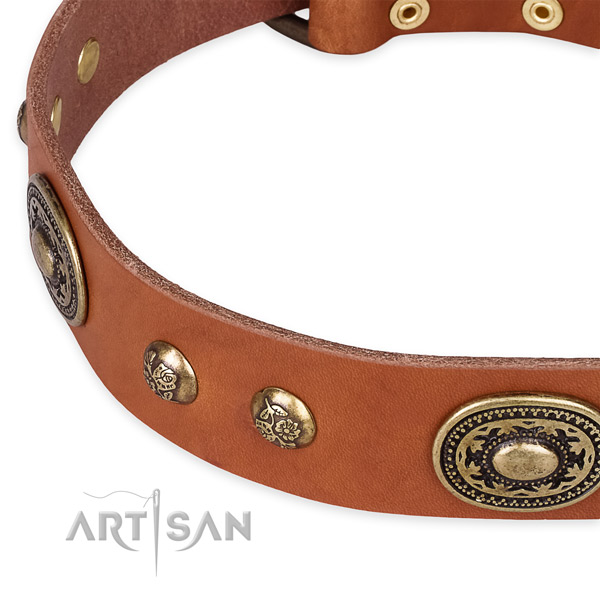 Awesome genuine leather collar for your attractive canine
