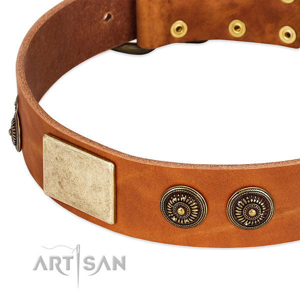 Handcrafted dog collar created for your stylish canine