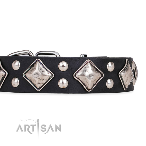 Natural leather dog collar with fashionable rust-proof studs