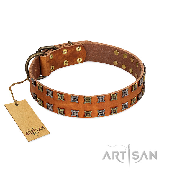 Best quality full grain leather dog collar with studs for your doggie