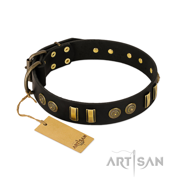Durable studs on natural leather dog collar for your dog
