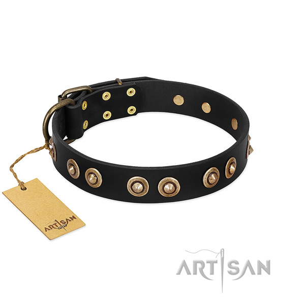 Durable studs on natural genuine leather dog collar for your doggie