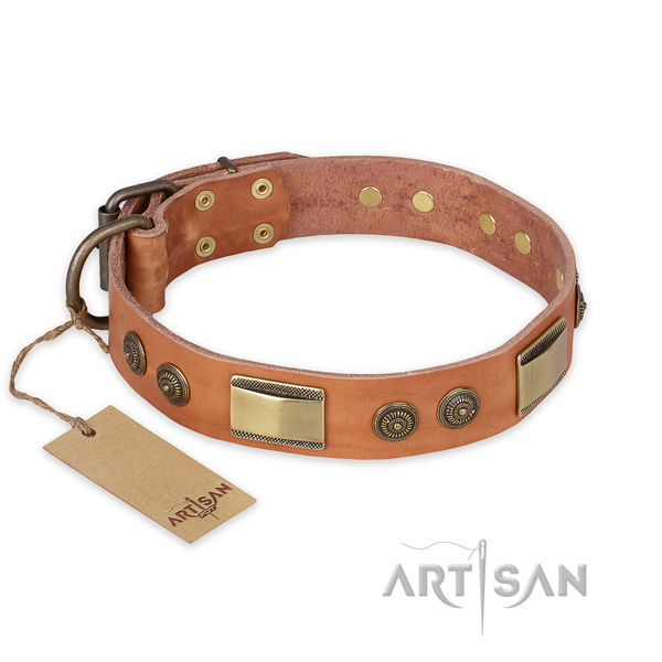 Stylish leather dog collar for comfy wearing