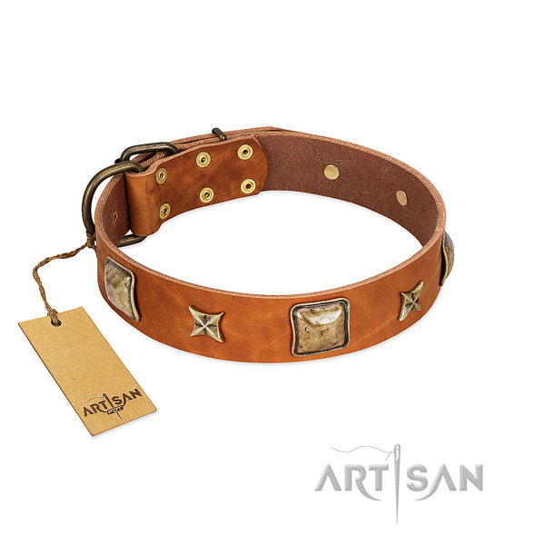 Incredible natural genuine leather collar for your four-legged friend