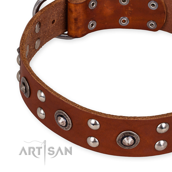 Full grain leather collar with durable fittings for your beautiful canine