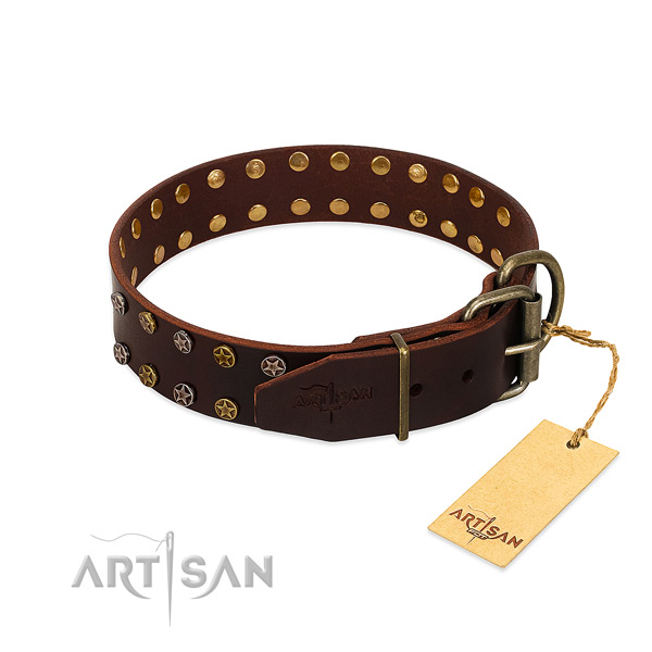 Everyday use full grain natural leather dog collar with inimitable studs