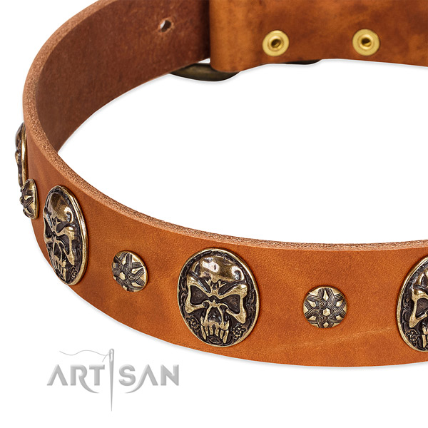 Corrosion proof adornments on full grain leather dog collar for your dog