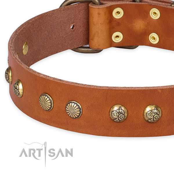 Genuine leather collar with rust-proof buckle for your stylish pet