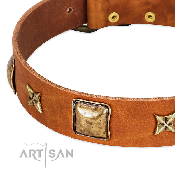 Durable buckle on full grain leather dog collar for your doggie