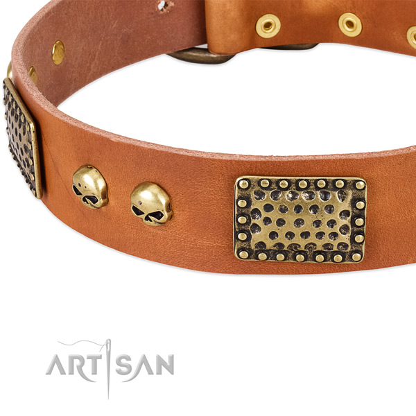 Rust-proof buckle on natural leather dog collar for your doggie