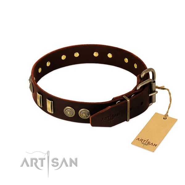 Rust resistant studs on leather dog collar for your pet