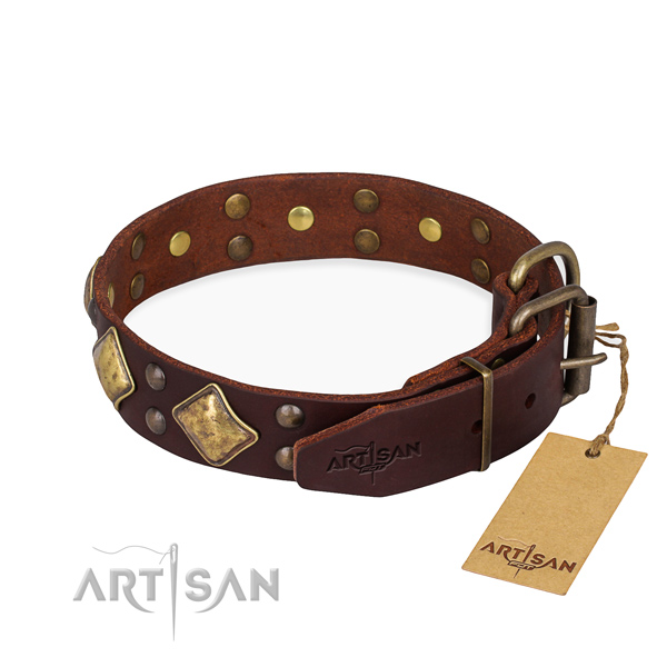 Leather dog collar with top notch rust resistant studs