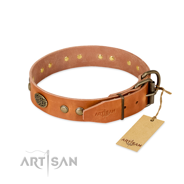 Rust-proof decorations on genuine leather dog collar for your pet