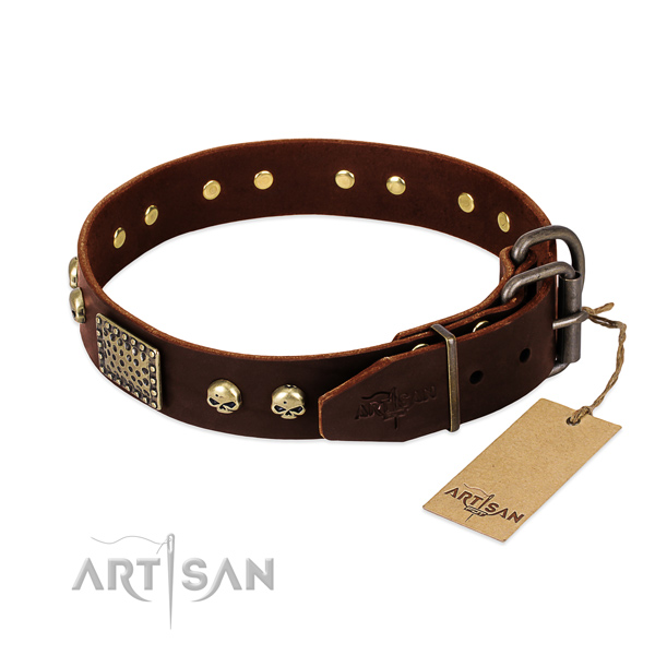 Corrosion proof adornments on stylish walking dog collar