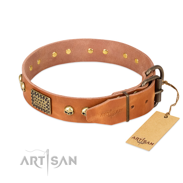 Reliable traditional buckle on everyday use dog collar