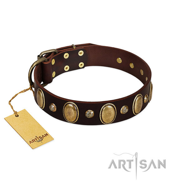 Leather dog collar of reliable material with exquisite embellishments