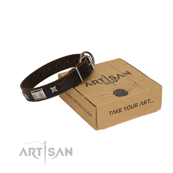 Amazing collar of full grain leather for your handsome canine