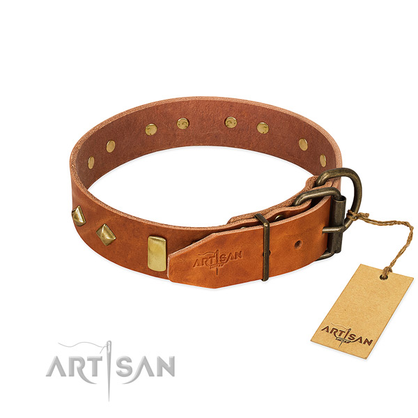 Stylish walking full grain leather dog collar with extraordinary adornments